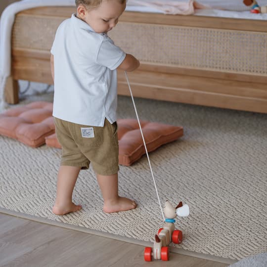 PlanToys Happy Puppy Wooden Pull Toy